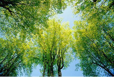 《Lightyear Frontier》3月20日抢测 开放世界农耕生活冒险